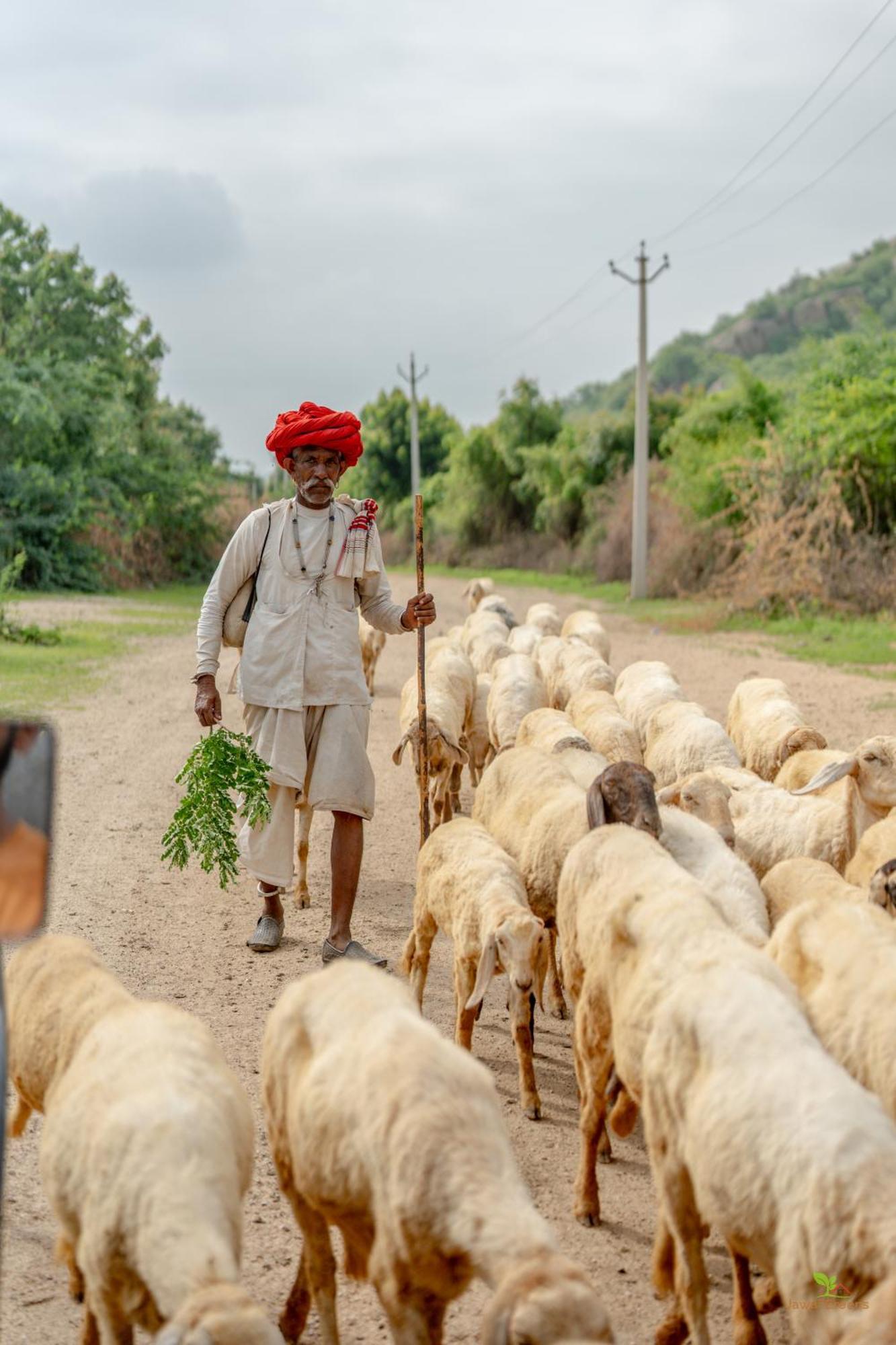 Jawai Greens Jawai Bandh エクステリア 写真