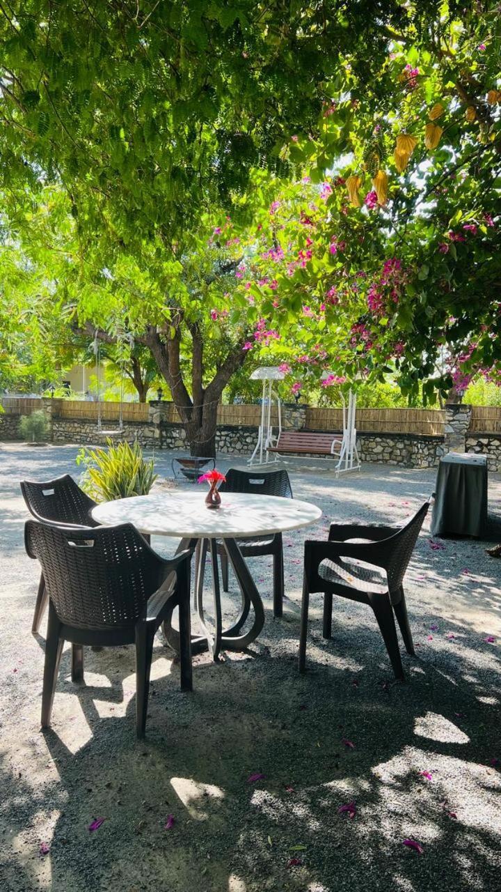 Jawai Greens Jawai Bandh エクステリア 写真